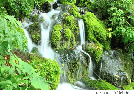 ブナ坂の清水 ブナ坂の清水 5464560