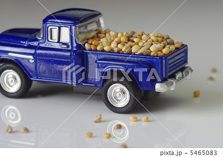 トラックの鳥のエサ 5465083