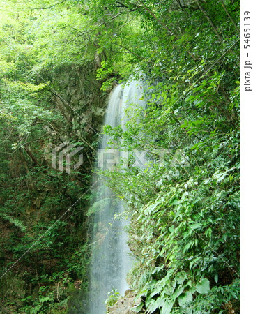 岐阜県 竜吟の滝(一の滝) The Ryugin Falls in Gifu Prf. 岐阜県 竜吟の滝(一の滝) The Ryugin Falls in Gifu Prf. 5465139