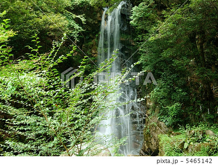 岐阜県 竜吟の滝(一の滝) The Ryugin Falls in Gifu Prf. 岐阜県 竜吟の滝(一の滝) The Ryugin Falls in Gifu Prf. 5465142