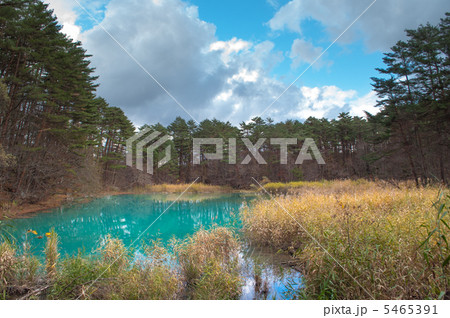 五色沼 5465391
