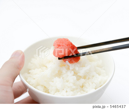 明太子とご飯 明太子とご飯 5465437