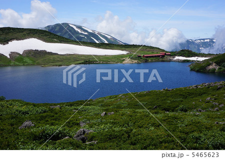 白梅大池 5465623