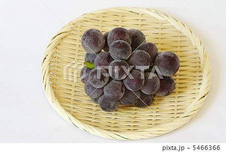 朝採りピオーネ 5466366