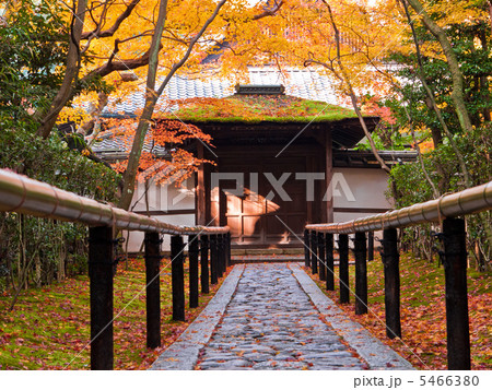秋の大徳寺高桐院 秋の大徳寺高桐院 5466380