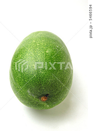 冬瓜 冬瓜 5466594