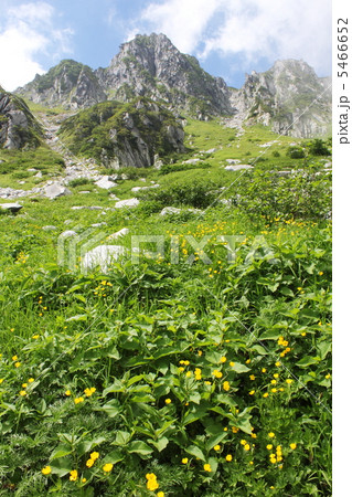 盛夏の千畳敷 盛夏の千畳敷 5466652