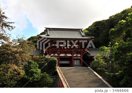 鶴岡八幡宮 大階段と随神門の写真素材