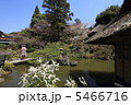 舞妓はん 5466716