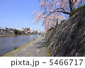 鴨川より 5466717