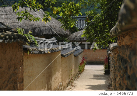 韓国 安東 河回村 韓国 安東 河回村 5466772