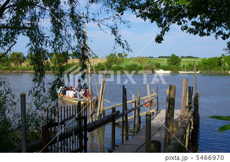 江戸川の矢切の渡し（東京都葛飾区柴又） 5466970