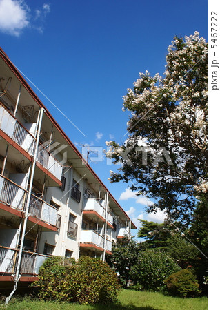 阿佐ヶ谷住宅の古びた建物 阿佐ヶ谷住宅の古びた建物 5467222