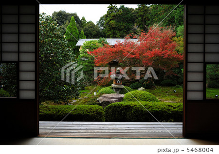 京都　雲龍院の庭園 5468004