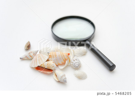 貝殻と虫眼鏡 貝殻と虫眼鏡 5468205