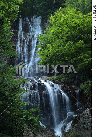 唐沢の滝 5468209