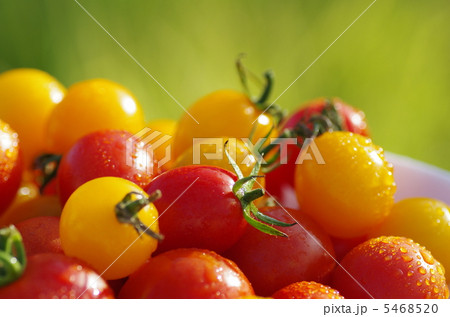 ミニトマト 5468520