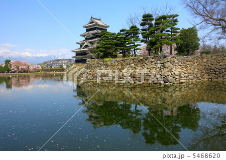 松本城 5468620