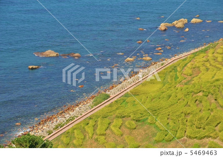 白米千枚田 5469463