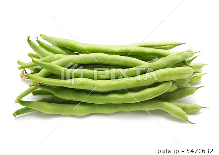 サヤインゲン 5470632