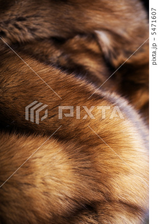 Luxury Sable Fur 5471607