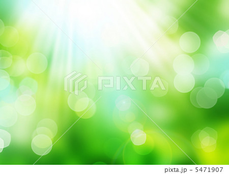 Beautiful Nature Bokeh. Blurred Background 5471907