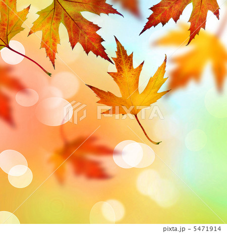 Autumn Autumn 5471914