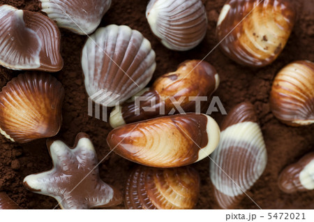 Chocolate Seashells Background 5472021