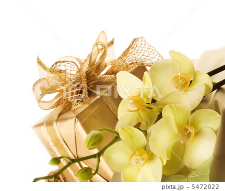 Gift Border Isolated On White 5472022