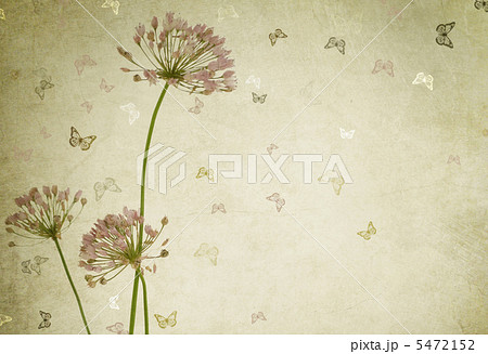 Floral Design Border. Vintage Styled 5472152