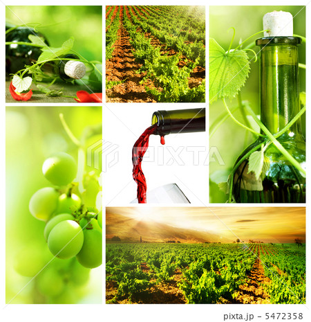 Wine. Beautiful Grapes Collage Wine. Beautiful Grapes Collage 5472358