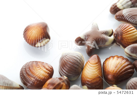 Chocolate Seashells Over White Chocolate Seashells Over White 5472631