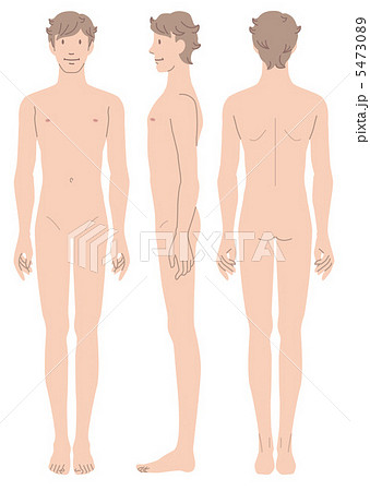 男性の身体　正面　横向　後姿 5473089