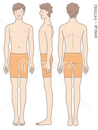 男性の身体 正面 横向 後姿のイラスト素材