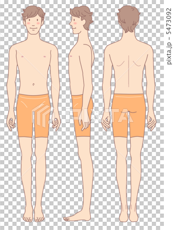 男性身體正面橫向後方外觀 男性身體正面橫向後方外觀 5473092