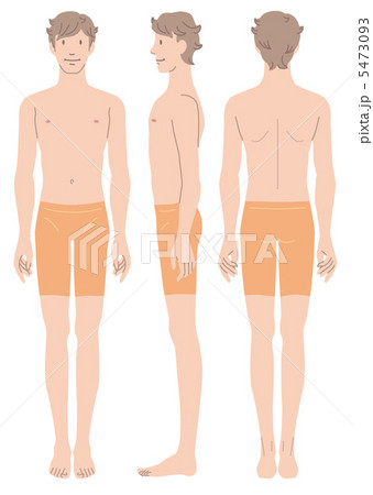 男性の身体　正面　横向　後姿 5473093