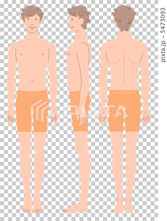 男性身體正面橫向後方外觀 男性身體正面橫向後方外觀 5473093