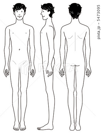 男性の身体 正面 横向 後姿のイラスト素材