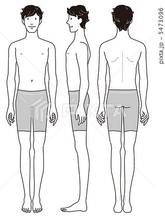 男性の身体 正面 横向 後姿のイラスト素材