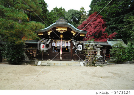 京都　秋の八大神社 5473124
