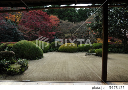 京都　晩秋の詩仙堂 5473125