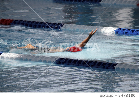背泳ぎ 背泳ぎ 5473180