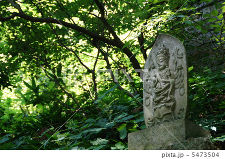 宝珠山 5473504