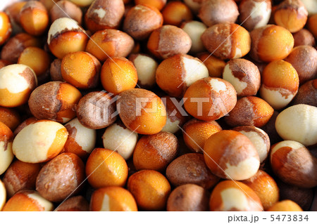 ぎんなん ぎんなん 5473834