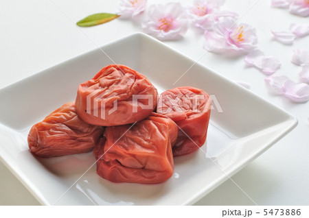 南高梅 南高梅 5473886