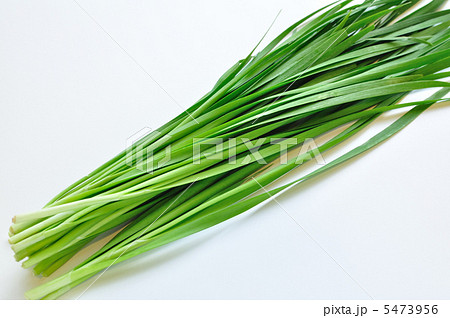 ニラ 5473956