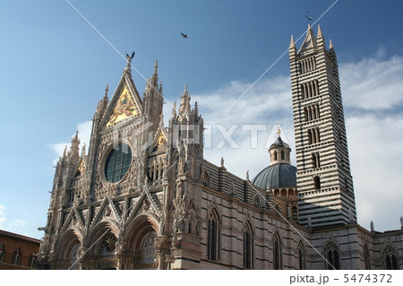 シエナ大聖堂　トスカーナ　イタリア　ヨーロッパ 5474372