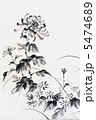菊 水墨画 菊 水墨画 5474689