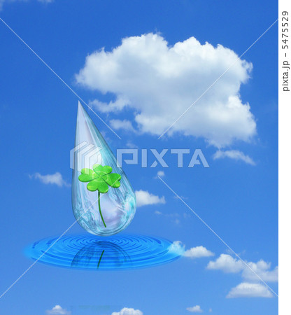 涙の中の四つ葉のクローバー 5475529