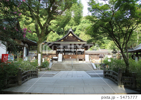 松尾大社 5475777